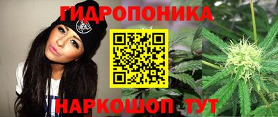 индика Северобайкальск